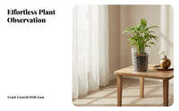 Embossed Garden Container Root Visibility Acrylic Flower Pot