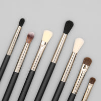 12-Piece Eye Makeup Brush Set for Eyeshadow Eyeliner Eyebrow and Nose Contour
