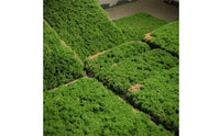 Artificial Grass Mat Textured Artificial Turf Mat Lightweight for Model Makers