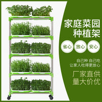 Hydroponic Seed Sprouting Tray Kit with Stainless Steel Stand, Self-Watering Seedling Germination System