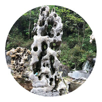 Taihu Lake Rock Garden Landscape Stone for Water Features and Courtyards