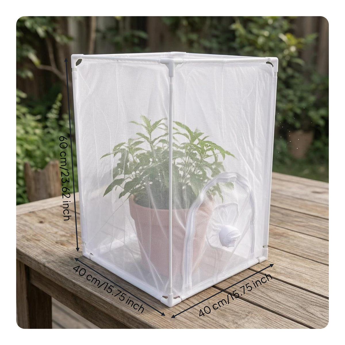 Arched Door Mesh Enclosure Corner Joints Breeding Enclosure Outdoor Use Rectangular Mesh Enclosure