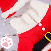Pet Christmas Costume Set for Small Dogs and Cats - Festive Winter Apparel
