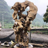 Taihu Lake Rock Garden Landscape Stone for Water Features and Courtyards