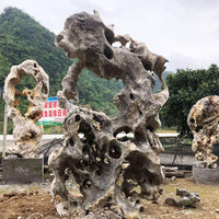 Taihu Lake Rock Garden Landscape Stone for Water Features and Courtyards