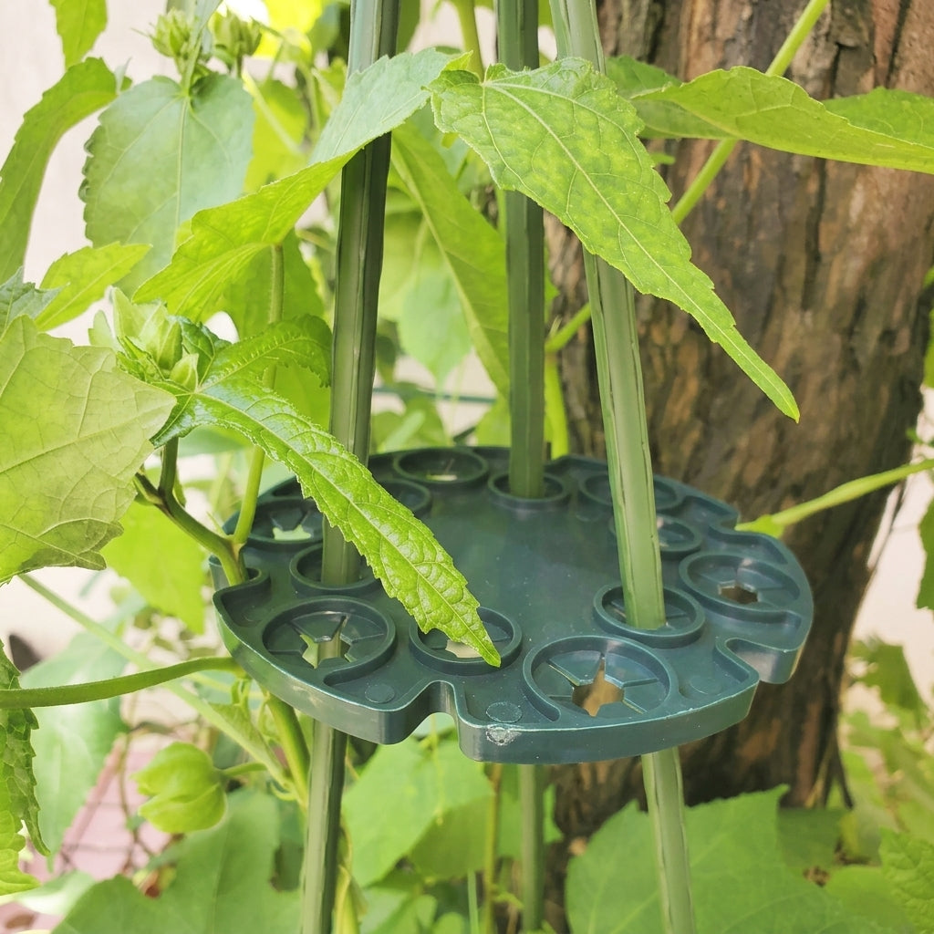 Plant Support Disk for Climbing Plant Support and Growth, Circular Disk with Holes for Indoor Plants, Garden Plant Supports for Garden, 5 Pack