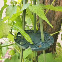 Plant Support Disk for Climbing Plant Support and Growth, Circular Disk with Holes for Indoor Plants, Garden Plant Supports for Garden, 5 Pack