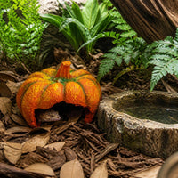 Reptile Hideout House Decoration for Corn Snakes Geckos Lizards, Resin Pumpkin/Tree Stump Design