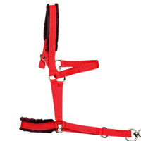 Adjustable Fleece-Lined Horse Halter for Adults