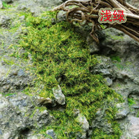 Aquarium Moss Artificial Mountain Landscape Decor