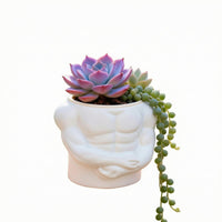 Smooth Finish Muscle Flower Pot Compact Torso Planter Open Top Body Planter Lightweight