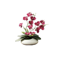 Phalaenopsis Tabletop Flowering Plant Decor 12-Blossom Flowering Plant Bonsai Photography Prop Film Material