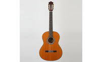 Classical Guitar Glossy Nylon String Guitar Wood-Grain Nylon String Set for Beginners, Casual Guitarists