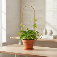 Climbing Plant Trellis Arched Metal Plant Support Tall Climbing Trellis for Planter