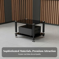 Sturdy Construction High-Fidelity Amplifier Stand Stable and Long-Lasting Shock Absorption Equipment Shelf Steel-Wood Structure Audio Component Rack Modern Design for Audiophiles