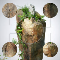 Garden Imitation Rock Planter for Villa Balcony and Terrace Landscaping