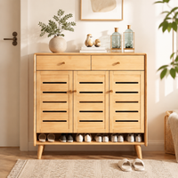 shoe cabinet