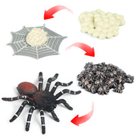 Halloween Prank Toy Insect Animal Life Cycle Models for Kids