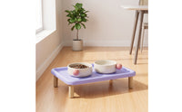 Cat Bowl Set with Stand Minimalist Raised Cat Bowl Set Contemporary Pet Feeding Tray for Small Dogs, Young Dogs