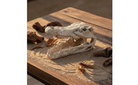 Hand-Painted Crocodile Skull Ornament Compact Aquarium Cave with Hollow Design Realistic Resin Skull Decoration Natural-Looking for Aquatic Pets Keepers, Terrarium