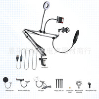 Microphone Suspension Boom Scissor Arm Stand with Pop Filter and Mount for Yeti Snowball Recording Streaming