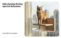 Drilltool-Less Installation Suction Cup Feline Platform No Tools Required Pet Furniture Elevated Lookout Window Seat Space-Saving for Apartment Dwellers, on Glass Panes, Glass Door, Indoors, Living Room