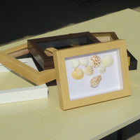 3D Shadow Box Display Frame for Crafts, Photos, and Memorabilia