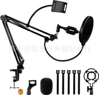 Microphone Suspension Boom Scissor Arm Stand with Pop Filter and Mount for Yeti Snowball Recording Streaming