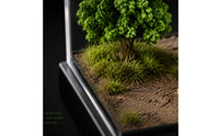 Display Diorama Base with Acrylic Display Case Dustproof Miniature Scene Base Compact for Hobbyists