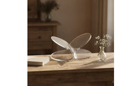Butterfly Magazine Rack Minimalist Magazine Rack with Oval Base areaSaving Literature Display Stand for Reception Area