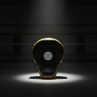 Focus Mitts Focus Pad Lightweight Hand Target for Fighters