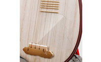 Pipas Guard No-Glue Zhongruan Guard Preserving Panel Protector for Instrument Practice