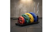 Fitness Disc Holder Angled Dividers Barbell Rack Side Handle