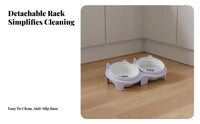 Anti-Tipping Stand Tilted Ceramic Cat Bowl Set Easy to Clean Double Ceramic Pet Bowl Set Non-Slip for Kittens, Small Dogs