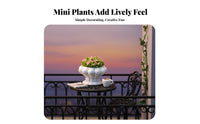 Miniature Potted Plant Dollhouse Flower Pot Realistic Detail Tiny Plant Model for Hobbyists, Adults, Fairy Garden, Craft Projects, Bookshelf
