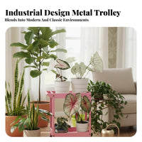 Industrial Design Two-Layer Utility Trolley Easy to Move 2-Tier Rolling Cart Multi-Purpose 2 Tier Rolling Cart Heavy Duty for DIY Enthusiasts, Office Workers, Workshop, Balcony, Kitchen, Living Room