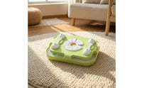 Slow-Feeding Puzzle Tray Fun Slow Feeding Tray Treat Dispenser for Fast Eaters, Cats, Mealtime