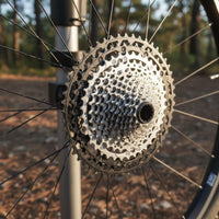 Seamless Shifting 12-Speed Cassette Wear Resistant 11-Speed Cassette Alloy Steel for Cycling