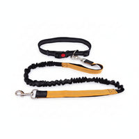 Elastic Leash and Collar Combo Flexible Adjustable Collar Leash Set Metal D-Loop Pet Gear Snap Hook for Walking, Control