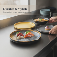 Melamine Round Dinner Plate, Japanese Style Imitation Porcelain Plastic Dish for Restaurant Steak BBQ