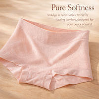 Underwear Women High Waisted Knickers with Non-Rolling Waistband, Breathable Ladies with Anti-Press Design