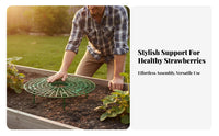 Strawberry Support Rack Keeps Berries Clean Strawberry Growing Frame Prevents Fruit Growing Frame for Gardeners, Farmers, Garden, Greenhouse, Farm