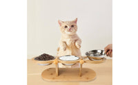 Pet Bowl Stand with Stainless Steel Bowls Tilted Raised Cat Feeder Dishwasher Pet Feeder with Bowls for Cats, Small Dogs, Indoor