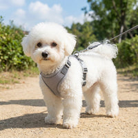Vest Style Harness for Small Dogs and Cats, Polyester Dog Vest Harness, Adjustable Puppy Harness for Outdoor Walks