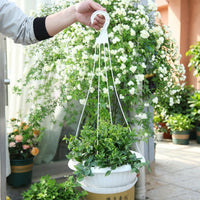 Plant Pots and Hanging Basket for Indoor Plants, 5 Pack of Outdoor Plants Hanging Plant Hanger, Wall Planter with Tray Drainage, Rope Style