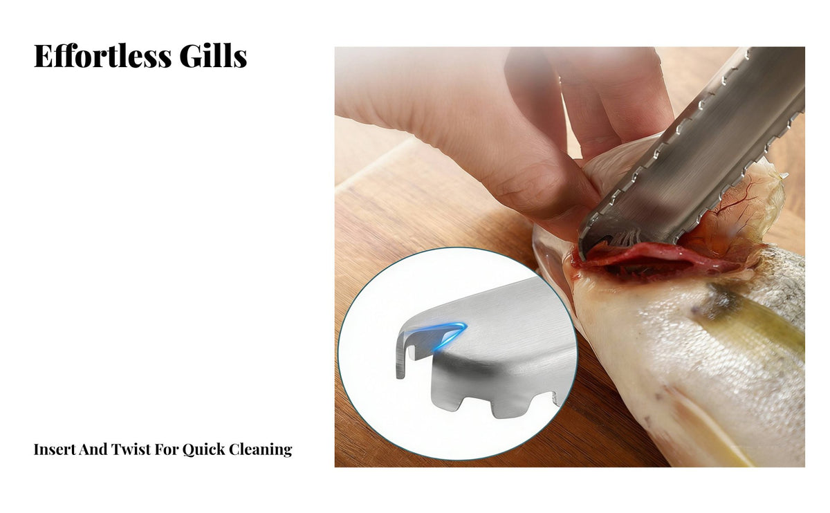 Fishes Scale Remover Stainless Steel Fishes Descaler Sturdy Kitchen Utensil for Chefs, Restaurant
