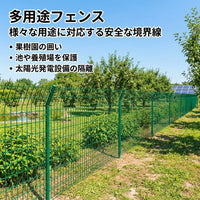 Fence, Outdoor, Mesh Panel, Wire Mesh, 90x170mm Mesh Size, 3.0mm Wire Diameter, Double Wire, Low Carbon Steel, Dark Forest Color