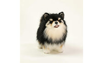 Realistic Dog Plush Toy Soft Dog Stuffed Materials Stuffed Animal for Kids