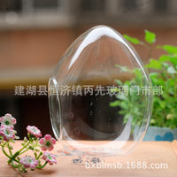Creative Micro Landscape Glass Bottle Ornament, Goose Egg Shaped Decorative Vase
