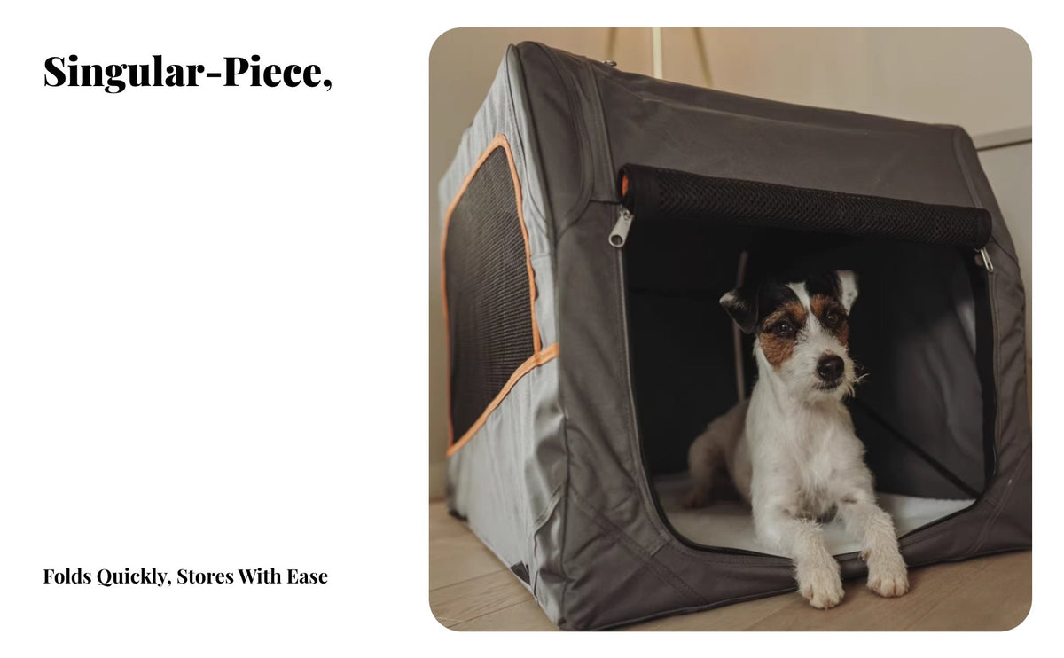 Portable Foldable Fabric Pet Crate Lightweight pet Transport Box Ventilated Mesh openings Dog Kennel Water-Resistant Base for Cat Owners, Travelers, Car Travel, veterinary Visits, holiday, Outdoors